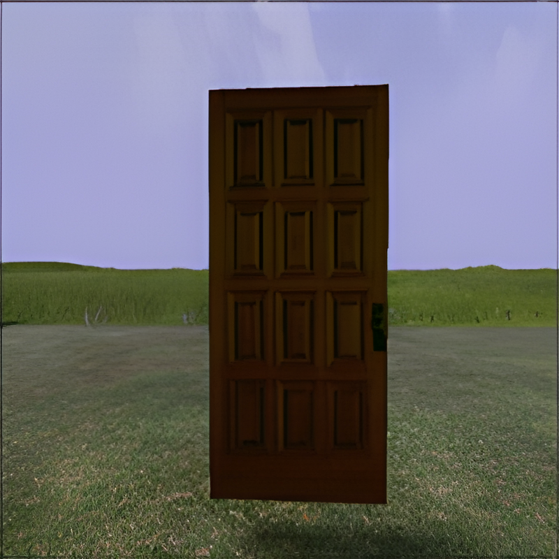 Door for Large Mansion