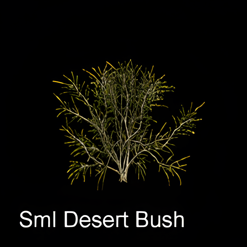 Small Desert Bush