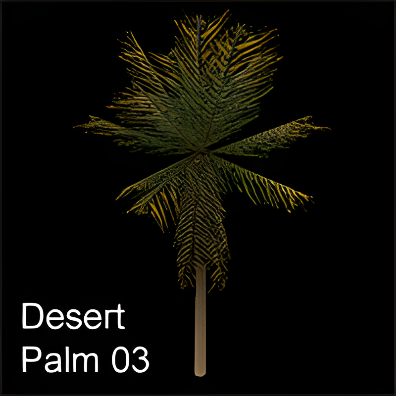 Single Desert Palm