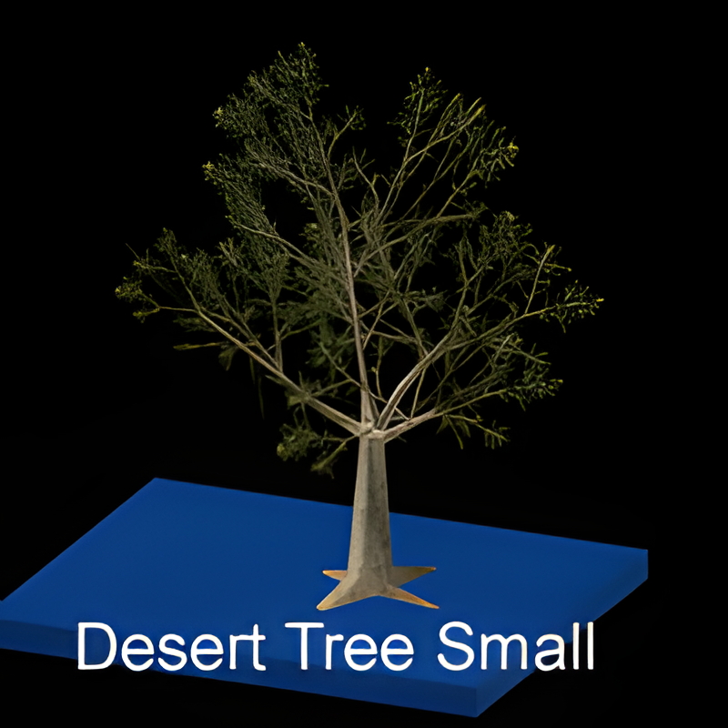 Small Desert Tree