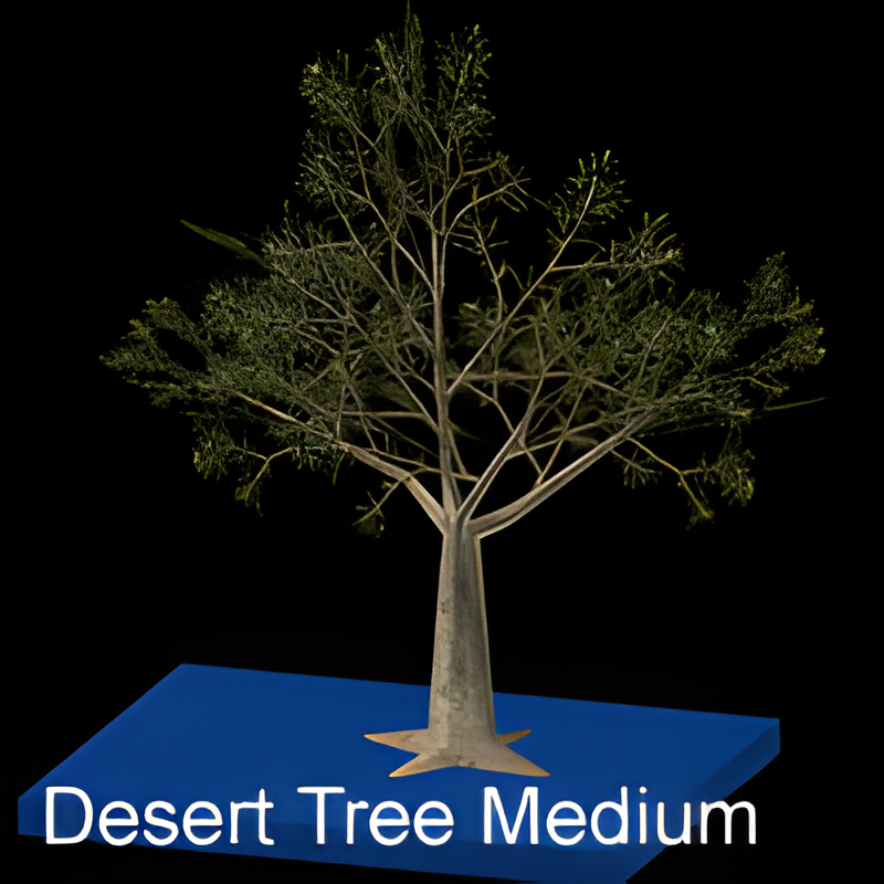 Medium Desert Tree