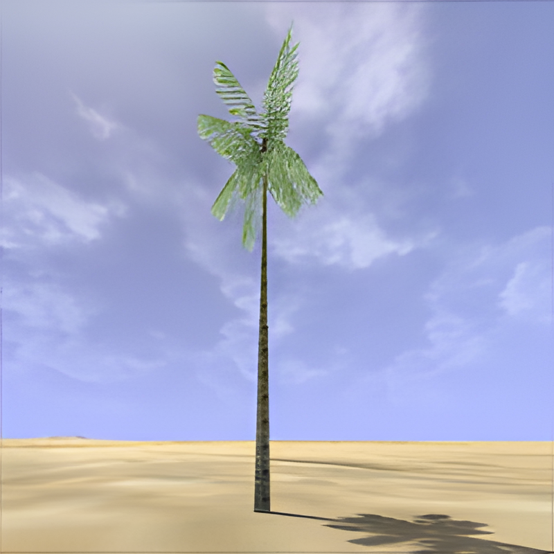 Desert Palm #1