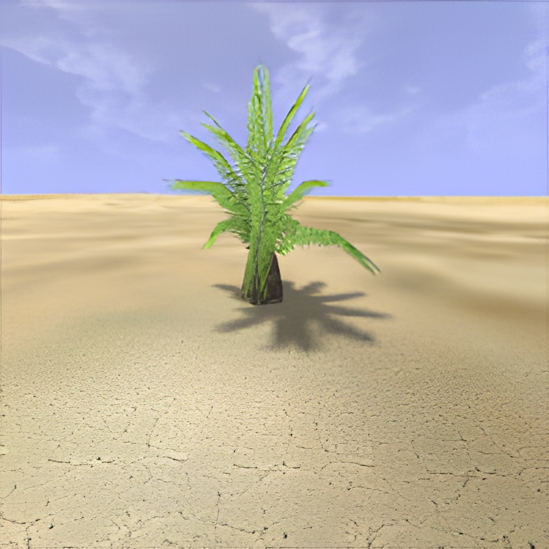 Desert Palm #3