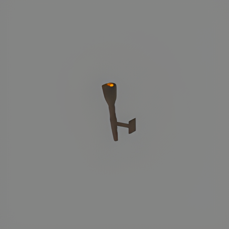 Wall Torch w/ light