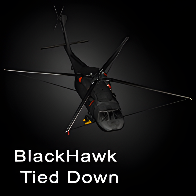 Grounded UH-60 Black Hawk