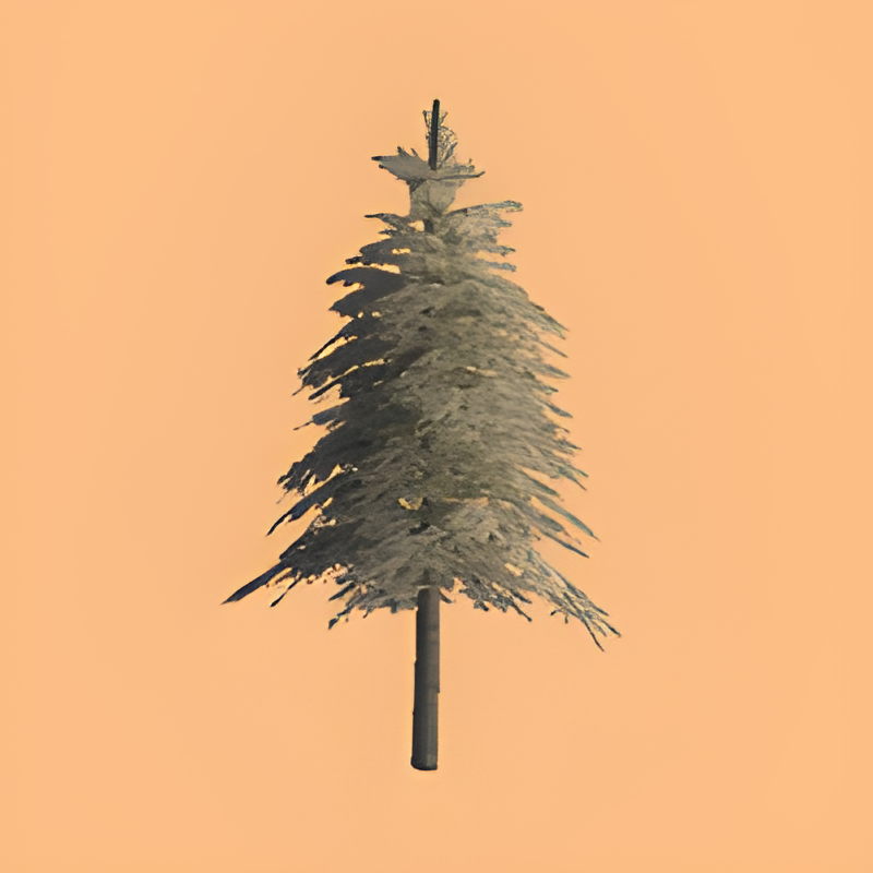 Fir Tree #2 (Snow)