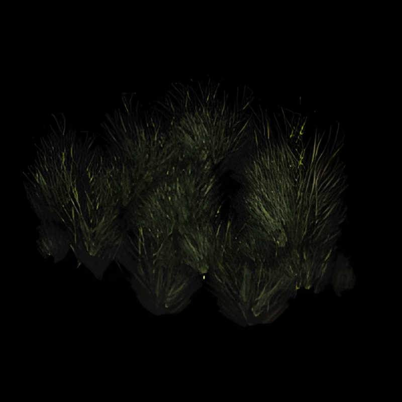 Large Group of Tall Grass-like Bushes