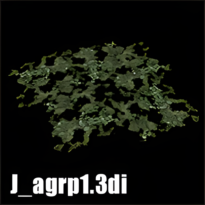 Jungle Algae Group #1 (2x2)