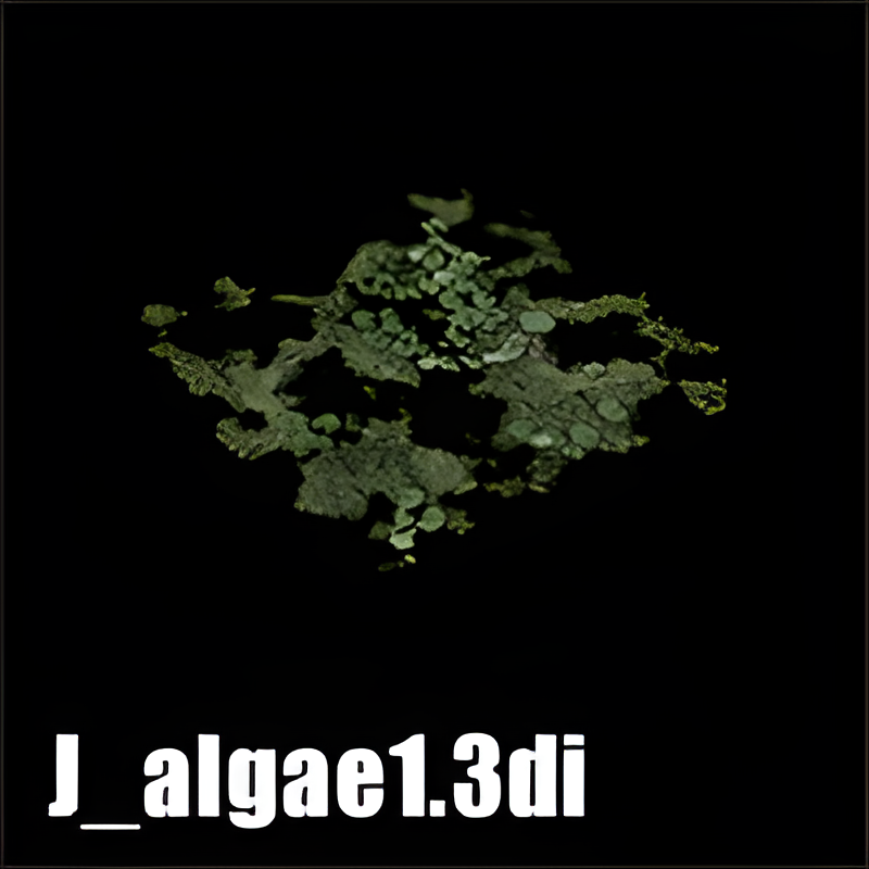Jungle Algae #1