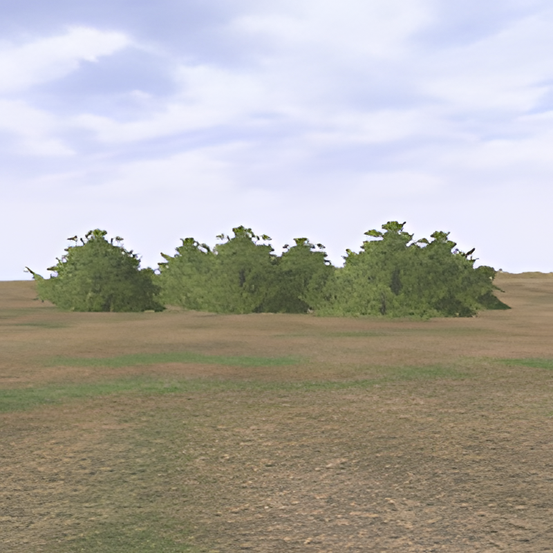 Jungle Bush Group #4