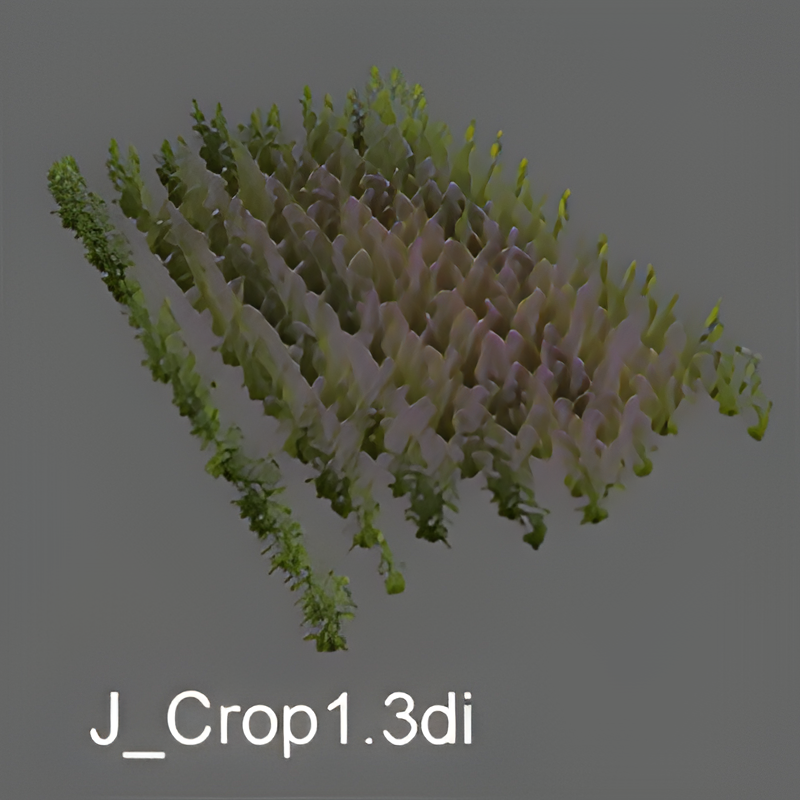 Jungle Crop Group #1