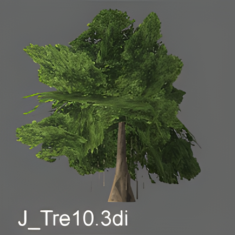 Jungle Tree #10 (banyan tree)