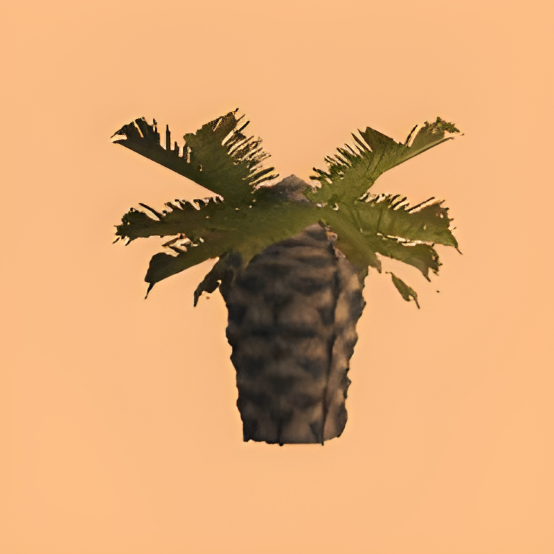 Jungle Tree #12 (pineapple palm)