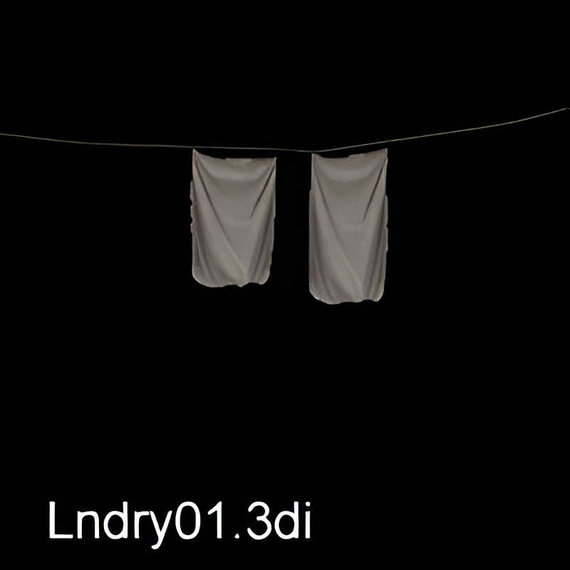 Laundry Line (hangs between buildings)