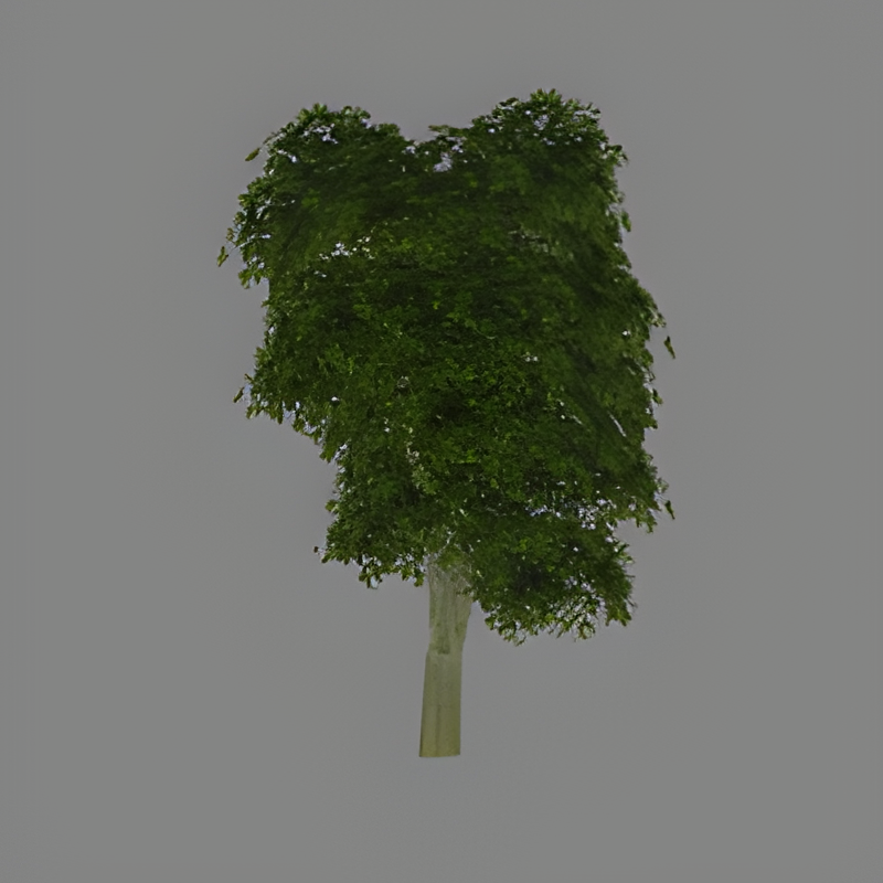 Large Green Tree