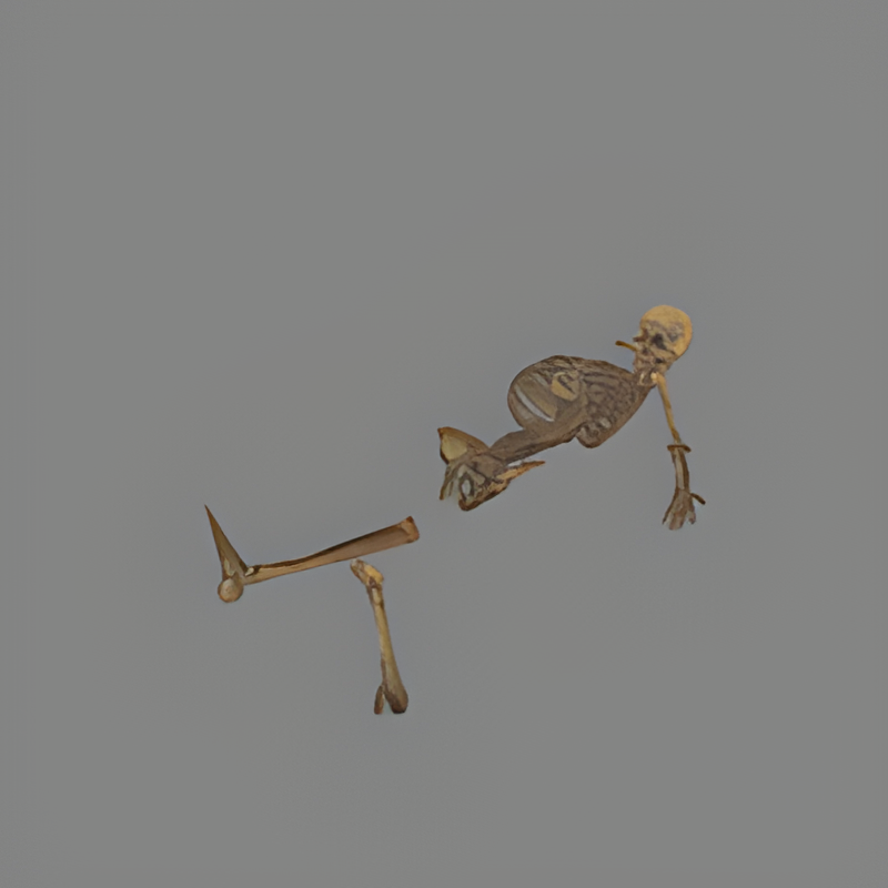 Skeleton #2