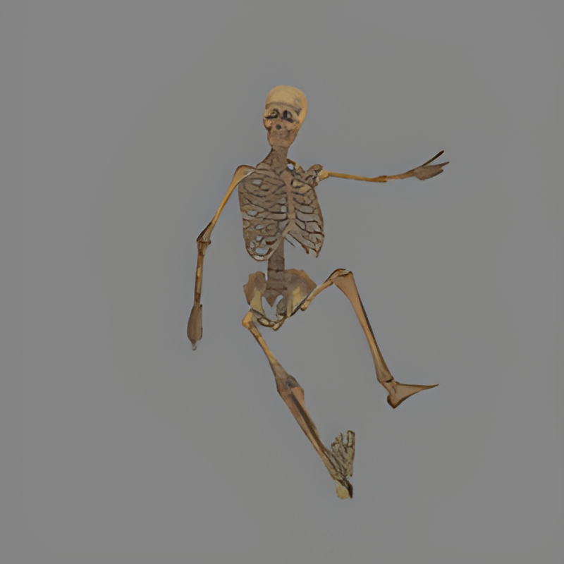 Skeleton #3