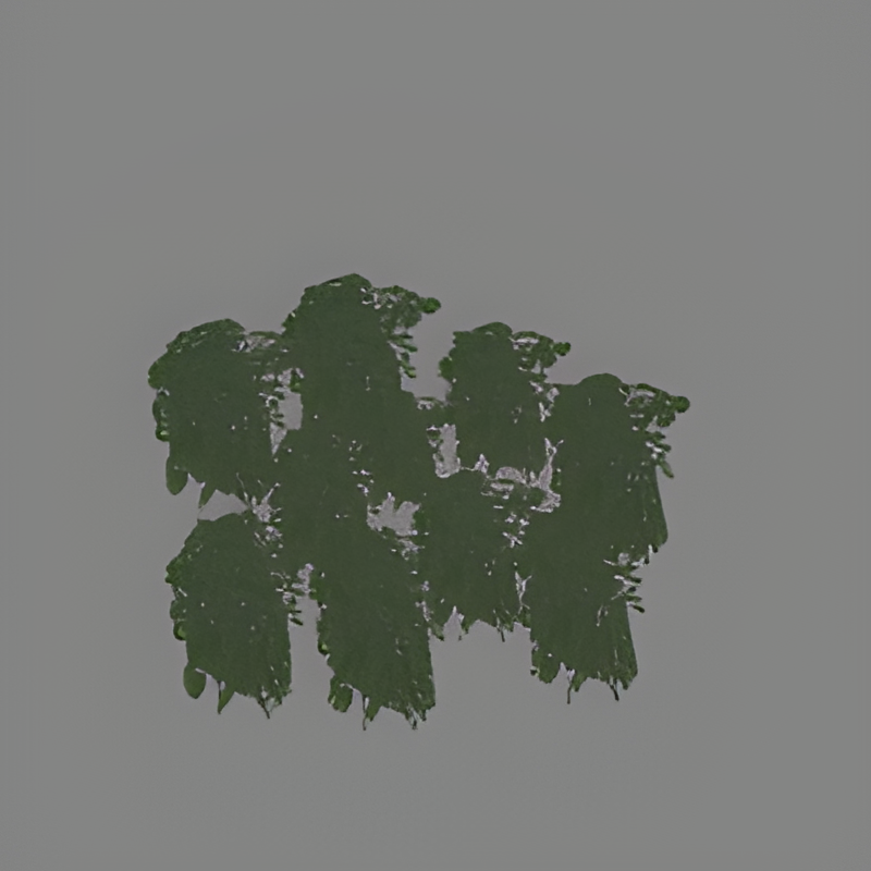 Jungle Bush Group #12