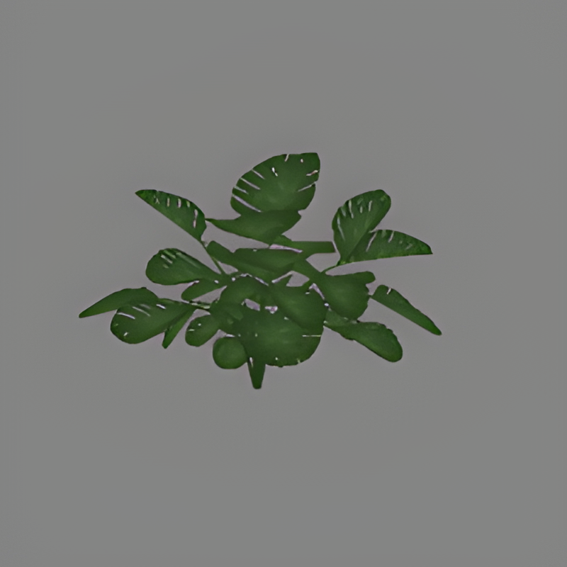 Jungle Bush #13