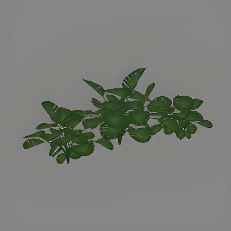 Jungle Bush Group #13