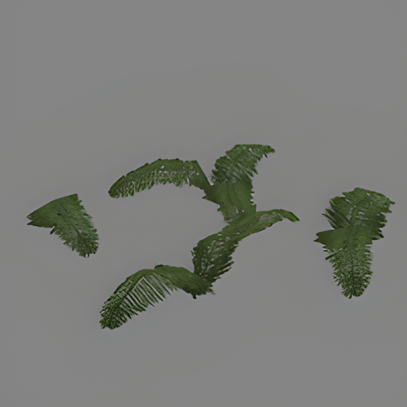 Green Fern #1