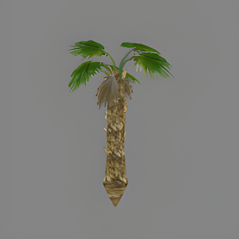 Palm Tree #1