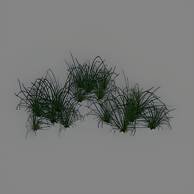 Grass #2
