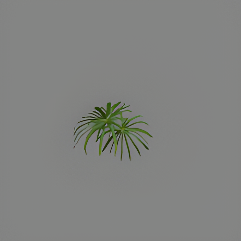 Grass #3