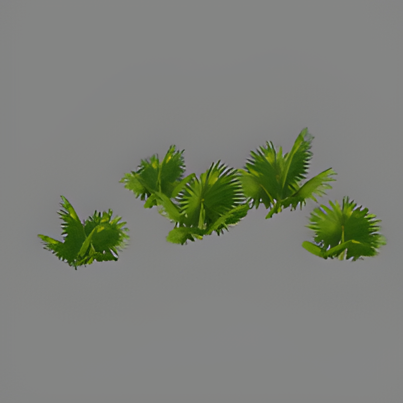 Jungle Bush #13 Group