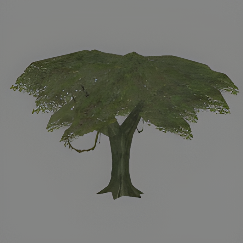 Jungle Tree #18