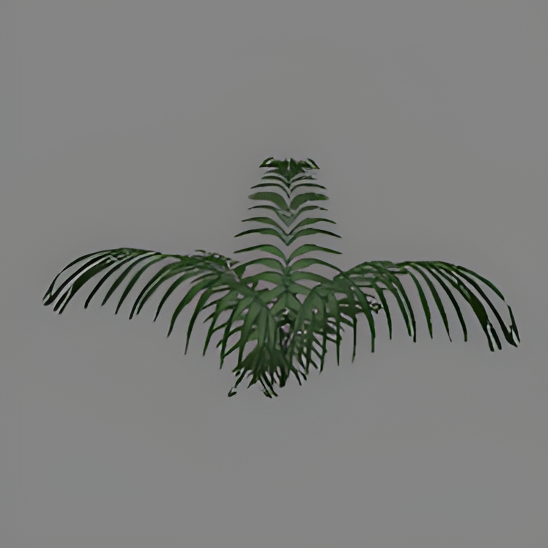 Green Fern #5