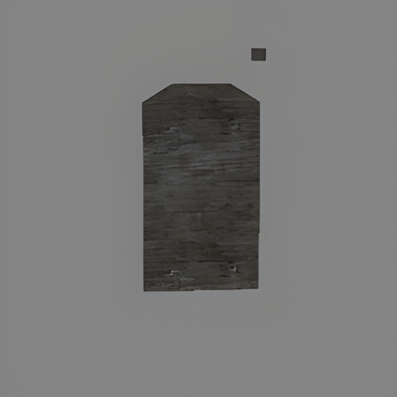 Tunnel Door (player open)
