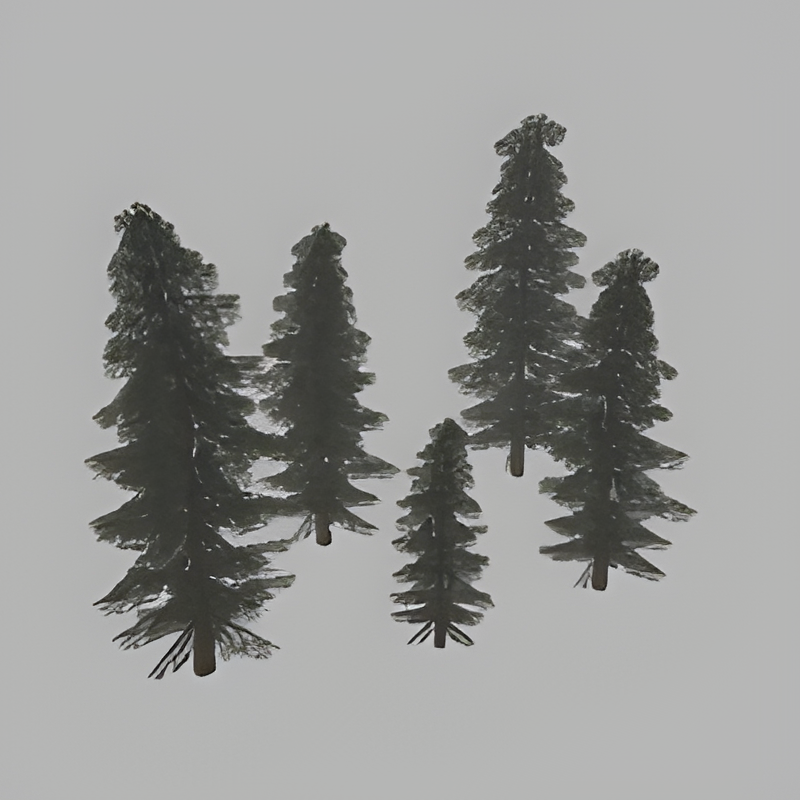 Group of Pine Trees