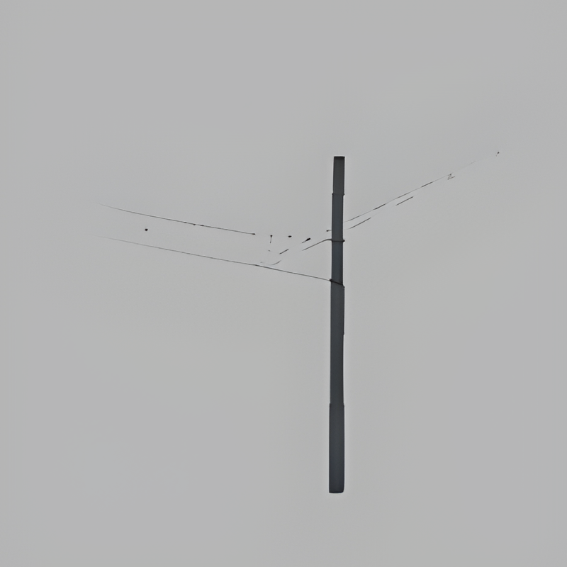 Trolley Pole