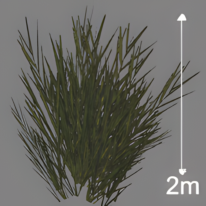 Medium Wall Foliage (for placement right next to walls)